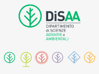 Progetto senza titolo (35)